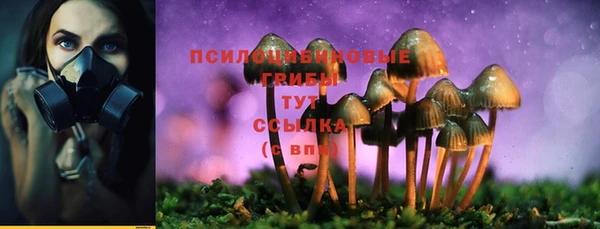 спиды Балабаново