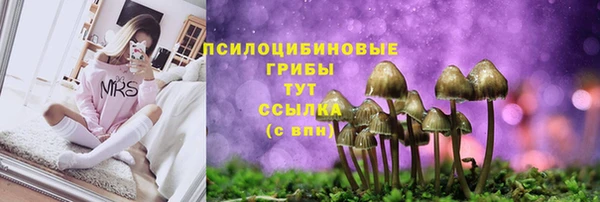 эйфоретик Баксан